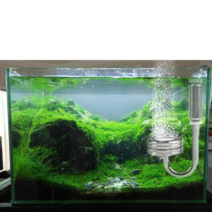 2L%20Double%20Aquarium%20CO2%20Generator%20System%20Kit%20CO2%20Stainless%20Steel%20Cylinder%20Generator%20System%20with%20Bubble%20Diffuser%20Carbon%20Dioxide%20Reactor%20Kit%20for%20Plants%20Aquarium%20-%20Image%207