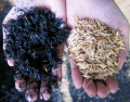 Carbonized Rice Husk, Burned Rice Husk As Fertilizer For Gardening  5kg. 
