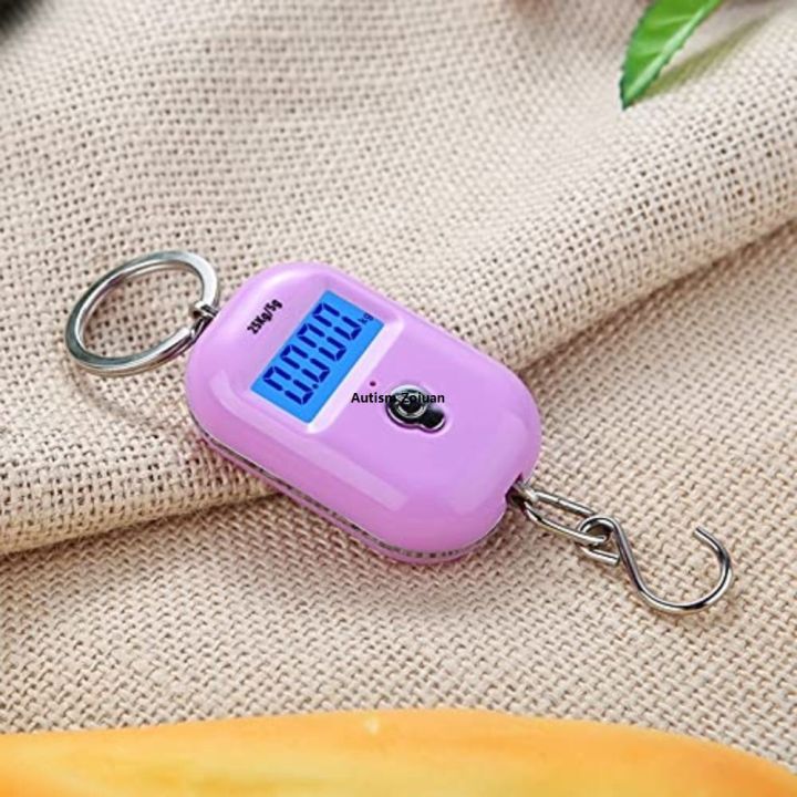 Mini Scale Key Chain Hook Keychain 5g Electronic Scale Portable Scale Hanging Capacity 25Kg ...