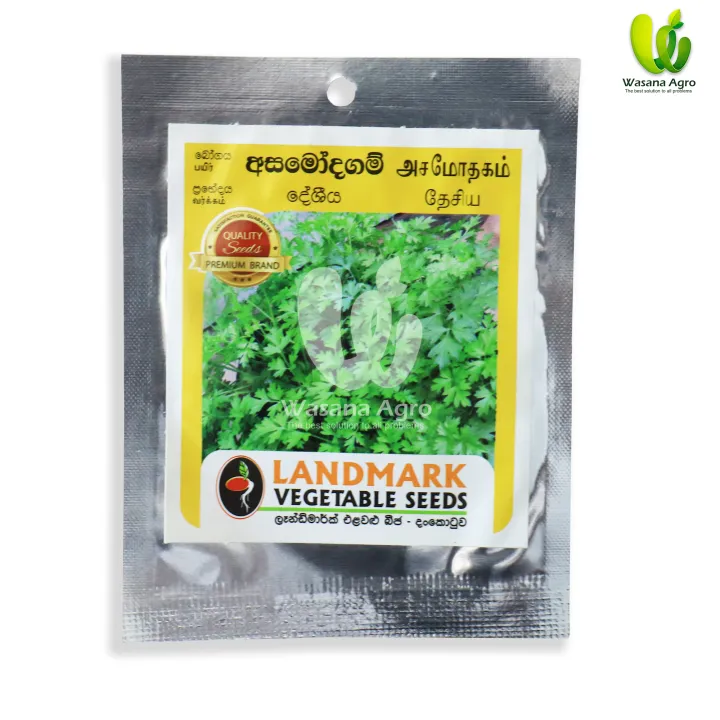 Asamodagam%20Seeds%20Trachyspermum%20roxburghianum%20%E0%B6%85%E0%B7%83%E0%B6%B8%E0%B7%9D%E0%B6%AF%E0%B6%9C%E0%B6%B8%E0%B7%8A%20%E0%B6%B6%E0%B7%93%E0%B6%A2%201g%20-%20Image%202