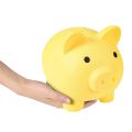 Plastic Money Bank, for Girls and Boys, Gifts for Birthday(Pink). 