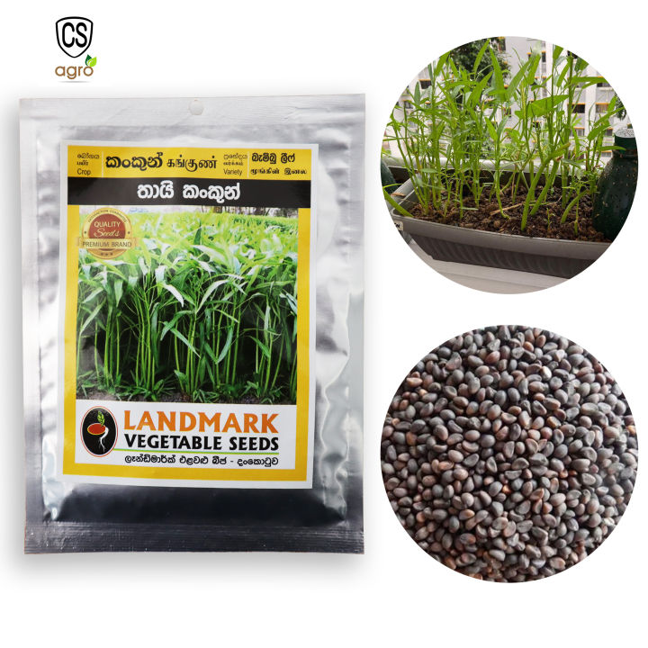 Water%20Spinach%20Thai%20KangKong%20Bamboo%20leaf%20Seeds%20%20%E0%B6%9A%E0%B6%82%E0%B6%9A%E0%B7%94%E0%B6%82%20%E0%B6%B6%E0%B7%93%E0%B6%A2%2010g%20-%20Image%202