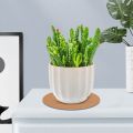 Self-Adhesive Cork Coasters,Cork Mats Cork Backing Sheets for Coasters and DIY Crafts Supplies (80, Round). 