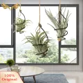 SuperRide Small Swirl Air Plant Container Adjustable Swirl Air Plant Holder Set for Home Office Garden Decor Pack of 6 Metal Hanging Tillandsia Container Rot Prevention Plant Stand. 