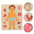 Wooden Human Body Structure Brick Toy System to Learn Body Parts Early Interactive Educational Toy for Kids. 