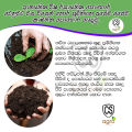 Compost 1.5Kg කොම්පොස්ට් පොහොර Fertilizer NPK Agriculture Home Gardening Organic. 