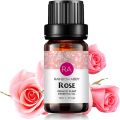 10ml Fragrance Oil Long Lasting Water Soluble Plant Extract Flower Natural Aromas Essential Oil for Diffuser Humidifier. 