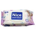 Nice and Clean Wet Wipes - 80 Pcs. 