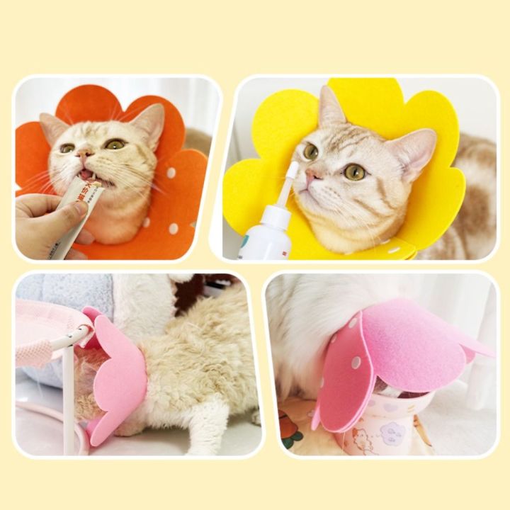 Portable%20Flower%20Shaped%20Dog%20Protective%20Collar%20Adjustable%20After%20Surgery%20Cat%20Elizabethan%20Collar%20Anti-Bite%20Wound%20Healing%20Pet%20Accessories%20Cat%20-%20Image%206