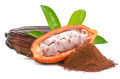 Coco plant/Cocova/chocolate plant. 