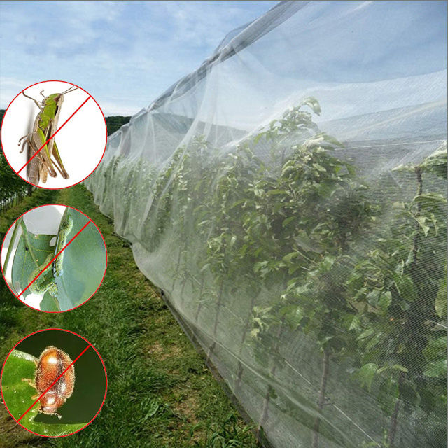 Insect%20Proof%20Net%20Greenhouse%20Polytunnel%2040*40%20mesh%20Insertproof%20UV%20Protected%20Long%20Durable%20-%20Image%202