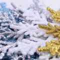 12pcs 10cm Snowflake Powder Plastic Hanging Snowflake Frozen Party Supplies. 