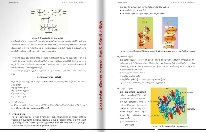 Biology%20Resources%20Books%20%7C%20%E0%B6%A2%E0%B7%93%E0%B7%80%20%E0%B7%80%E0%B7%92%E0%B6%AF%E0%B7%8A%E2%80%8D%E0%B6%BA%E0%B7%8F%E0%B7%80%20%E0%B7%83%E0%B6%B8%E0%B7%8A%E0%B6%B4%E0%B6%AD%E0%B7%8A%20%E0%B6%B4%E0%B7%9C%E0%B6%AD%2012%20%E0%B7%81%E0%B7%8A%E2%80%8D%E0%B6%BB%E0%B7%9A%E0%B6%AB%E0%B7%92%E0%B6%BA%20(1/5-i%20%E0%B6%92%E0%B6%9A%E0%B6%9A)%20(NIE)%20-%20Image%204