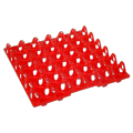 Plastic Egg Tray Egg Holder. 