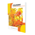 Colouray B5 Exercise Book - 120pgs - Singe Rule. 