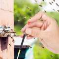 Rearing 2 Box Beekeeping Moving Grafting Tools Shift Needle Beekeeper Queen Larva Feeding Tool. 