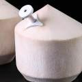 Coconut Hole Opener, Coco Nut Opener, Fruit Openers Reusable Coconut Hole Puncher Coco Drill Punch Tool, Coconut Opener Tool, for Restaurant. 