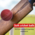 6.3CM Bounce Durable Playing Training Practice Attractive Traditional Seams All Age Players Cricket Ball Funny Soft PU. 