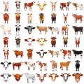 50pcs Cute Cow Cartoon Stickers Animals Cattle Graffiti Kids Toy Skateboard Phone Laptop Luggage Sticker Decals. 
