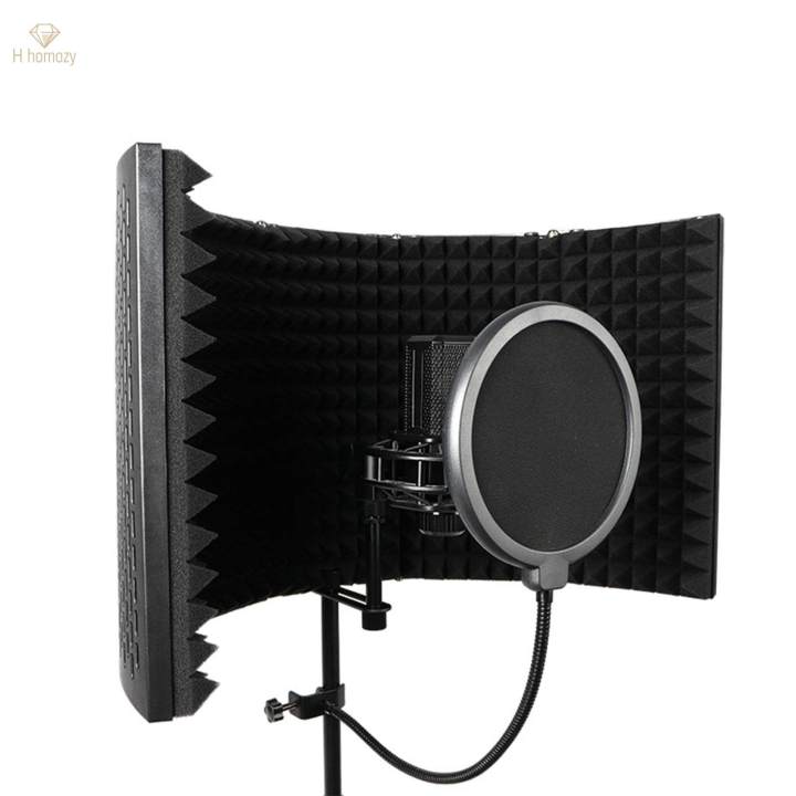 Microphone Vocal Recording Panel for Recording Equipment | Daraz.lk