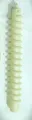 Plastic Spiral Hair Perm Rod Spiral Rod Barber Hairdressing Hair Rollers Hair Curling Perming Rods for Natural hair X 12 units. 