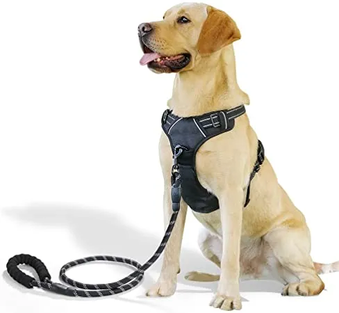 Heavy%20Duty%20Dog%20Pet%20Harness%20Collar%20Adjustable%20and%20Soft%20Chest%20Belt%20(Free%20Size)%20-%20Image%203