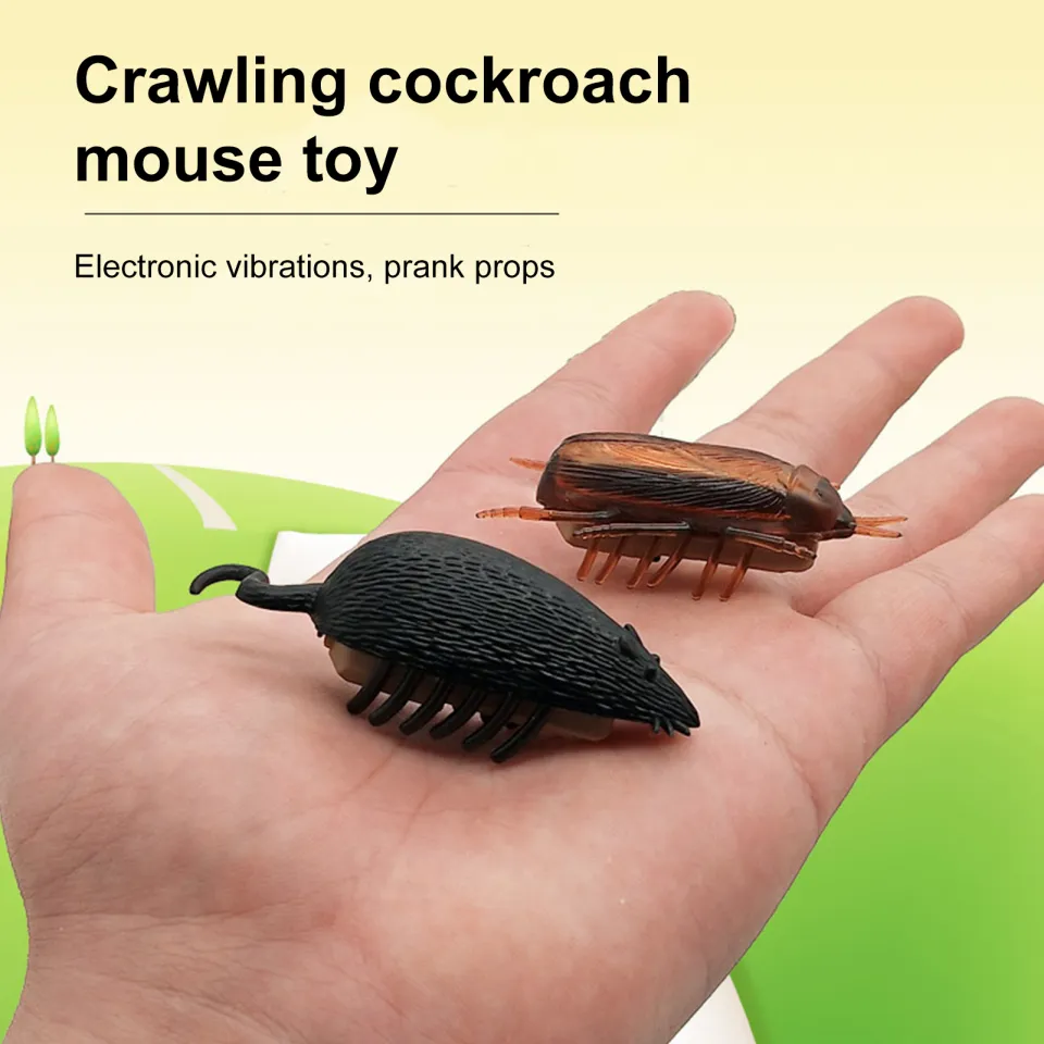 Electronic Crawling Insect Toy Realistic Simulated Cockroach Toy Fun Prank Vibration Insect Toy for Simulated Cockroach Prank Toy | Daraz.lk Electronic Crawling Insect Toy Realistic Simulated Cockroach Toy Fun Prank Vibration Insect Toy for Simulated Cockroach Prank Toy | Daraz.lk
