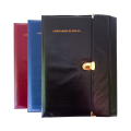 Campandium Golden Lock File | Office Document File Folder With Sliver Lock for Office, Students and Professionals. 