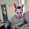 Frank's Rabbit mask, subway parkour, a kid adult full face cute folding rabbit Christmas party costume mask. 