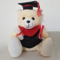 Graduation Teddy Bear Graduation Gift Toy Teddy Bear. 
