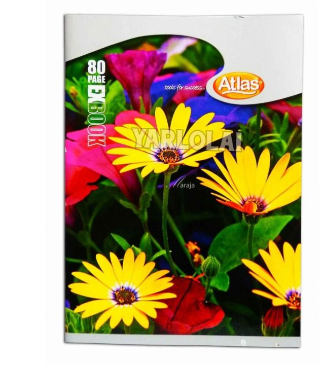 Atlas%20Exercise%20Book%20Single%20Ruled%2080%20Pages%20-%20Image%204