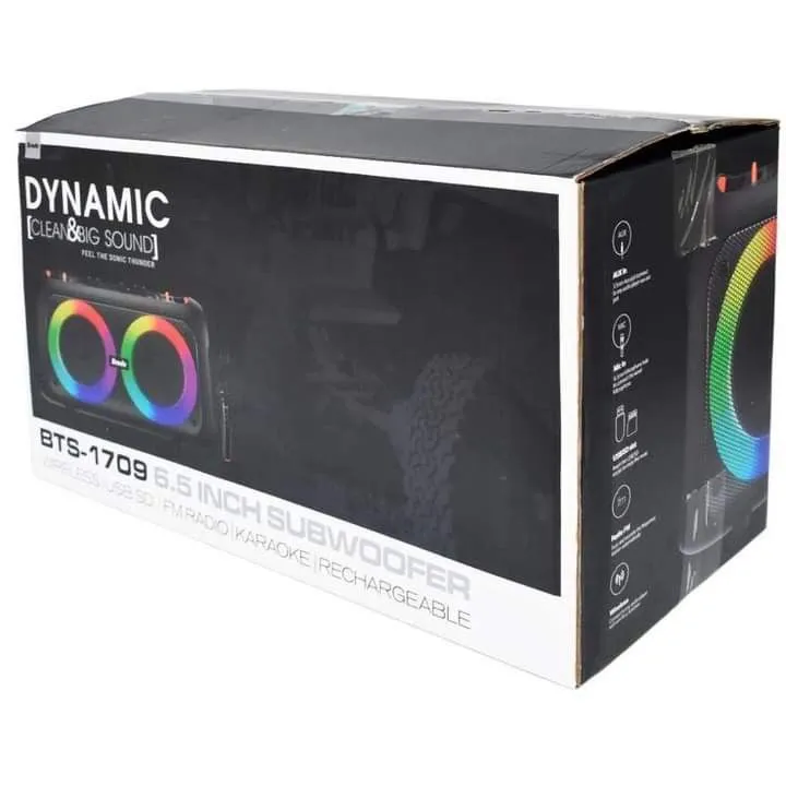 Party%20box%20outdoor%20portable%20with%20wireless%20mic%20Dual%206.5inch%20portable%20Wireless%20bluetooth%20speaker%20BTS%201709%20-%20Image%203