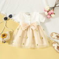 Summer Flower Girl Short Sleeve Dress Pineapple Embroidery Mesh Baby Princess Dress Girl Clothing. 