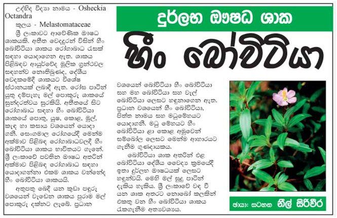 Heen%20Bovitia%20Tea%20100g%20-%20Image%203