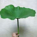 Flower Arrangement PU Artificial Lotus Romantic Lifelike Simulation Lotus Leaf Long Stem Handmade Fake Lotus Branch Garden. 