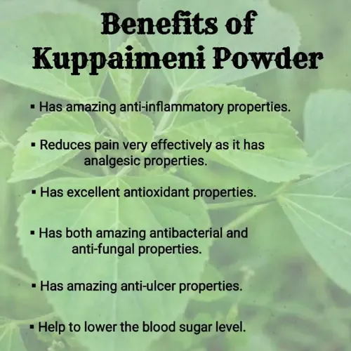 Natural%20Dried%20Herb%20Acalypha%20Indica%20Powder/%20Indian%20Nettle/%20Kuppaimeni%20Powder/%20kuppameniya%20Powder/%20Urtica%20Dioica%2050g%20-%20Image%203