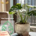 SuperRide Durable Plant Support Monstera Leaf Shape Plant Support for Vertical Growth Easy Install Stem Holder for Indoor Outdoor Plants Favorite Garden Plant Supports. 
