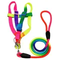 Cat and Dog Harness and Leash Set Vest Leash Collar Set Adjustable Rainbow. 