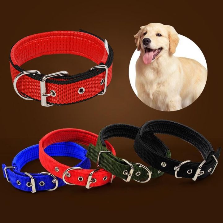 Medium%20Dog%20Collar%20Adjustable%20Soft%20Nylon%20Padded%20Cushion%20Necklace%20Pet%20Puppy%20Dog%20Belt%20Blue%20Black%20Red%20Green%20Collars%20Safety%20Dogs%20Belt%20Dog%20Strap%20Accessory%20Metal%20Buckle%20Pets%20Dog%20Chain%20Dogs%20Sale%20Sri%20Lanka%20Dogs%20Sale%20Strip%20Lanka%20Dogs%20Sell%20Pets%20Dog%20Sale%20-%20Image%207