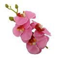 Cute Butterfly Orchid Orchid Flower Hairpin Hair Accessories Headdress Seaside Vacation Headwear Side Clip Bohemia Duckbill Clip Bridal. 