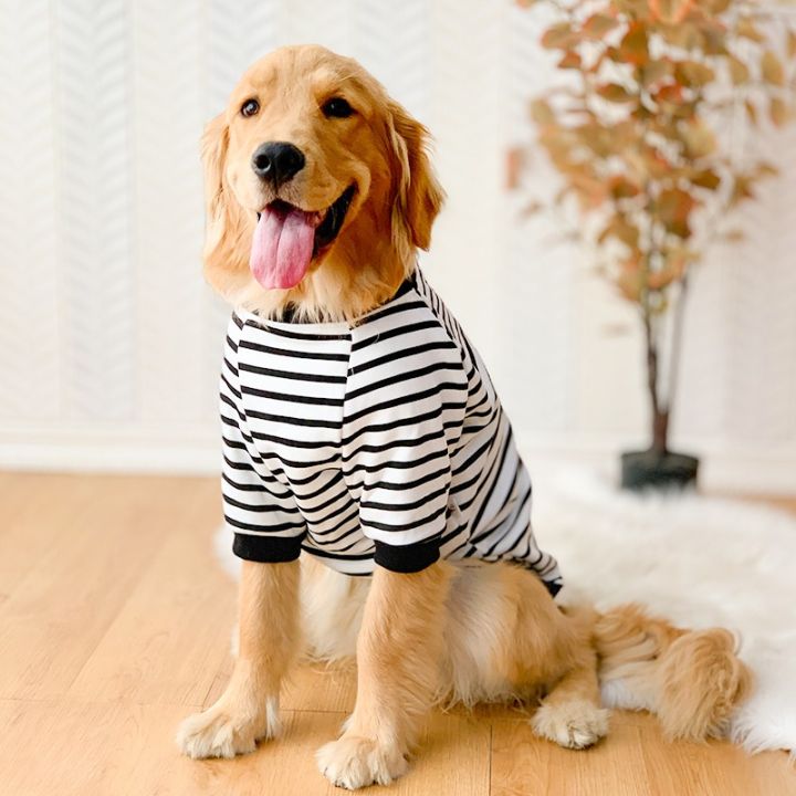 Puppy Gentle Large Dog Breeds Gentle Dog Laid Back Large Dog - Main Image