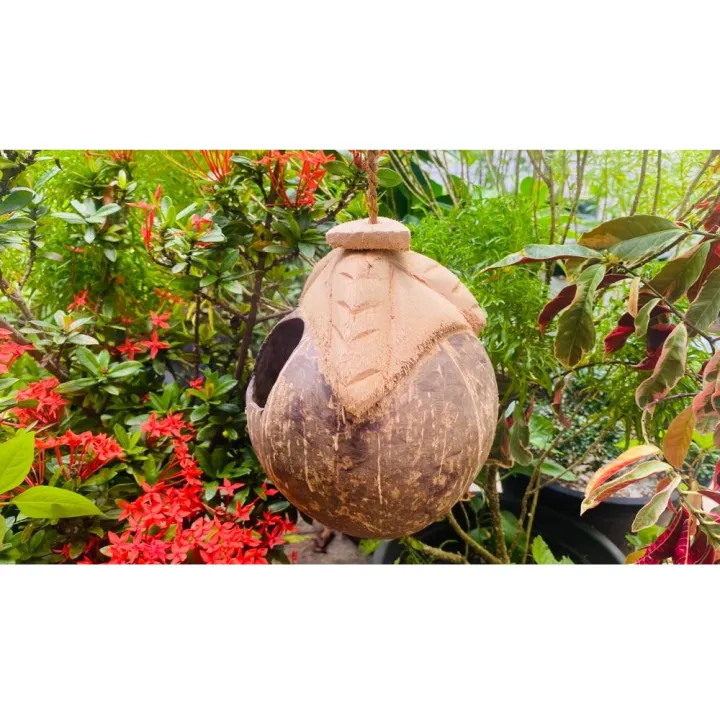 Coconut%20Husk%20LOVE%20BIRD%20Nest%20ARCH%20Door%20Weaver%20Bird%20(%E0%B7%80%E0%B7%93%20%E0%B6%9A%E0%B7%94%E0%B6%BB%E0%B7%94%E0%B6%BD%E0%B7%8A%E0%B6%BD%E0%B7%8F)%20Nest%20Paddy%20Bird%20Nest%20%20Squirrel%20(%E0%B6%BD%E0%B7%9A%E0%B6%B1%E0%B7%8F)%20cage%20Coconut%20Shell%20Natural%20Bird%20House%20Outdoor%20coco%20cage%20Pol%20Leli%20Kurulu%20Kuduwa%20Lena%20Kuduwa%20And%20can%20be%20use%20for%20Restaurants,Hotel%20decoration%20-%20Image%205