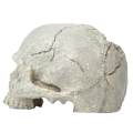 Verisimilar Artificial Human Skull Aquarium Ornament Play Room for Fish. 