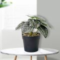 Ethereon Home Decor Artificial Plant Realistic Artificial Potted Plant No Watering Needed Small Home Decor Reusable Green Plant for Living Room Buyers' Favorite Artificial Indoor Plant. 
