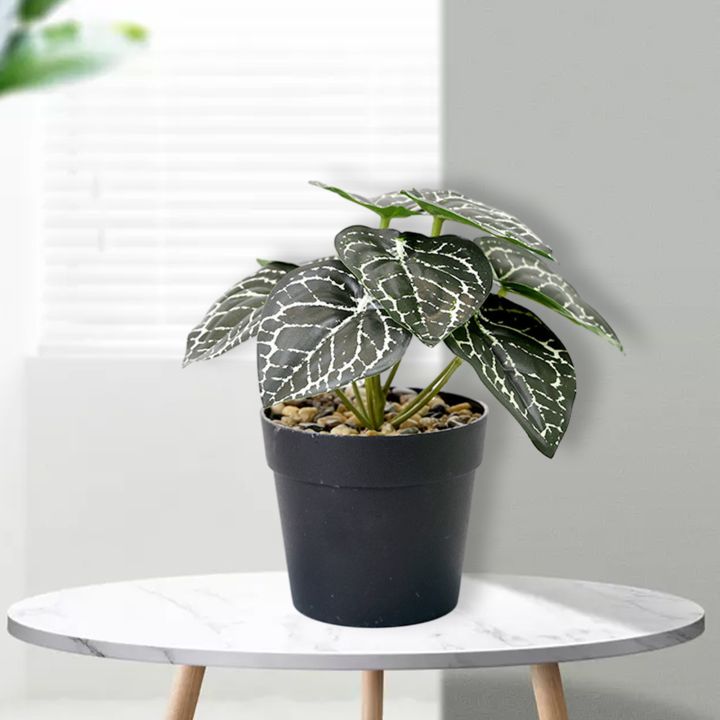 Ethereon%20Home%20Decor%20Artificial%20Plant%20Realistic%20Artificial%20Potted%20Plant%20No%20Watering%20Needed%20Small%20Home%20Decor%20Reusable%20Green%20Plant%20for%20Living%20Room%20Buyers'%20Favorite%20Artificial%20Indoor%20Plant%20-%20Image%204