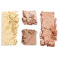 Revolution Pro Revolution Pro X Nath Highlight & Contour Palette, Multicolor Color, 16 g (FROM INDIA)NUZ. 