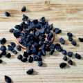 Imported Onion Seeds ලොකු ලූනු බීජ Home Gardening Agriculture 1g. 