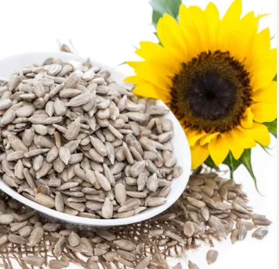 Sunflower%20Seeds%20-%20Image%205