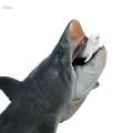 Painted Shark Action Figures Megalodon Model Playset Realistic Creature Shark Toy for Collection. 