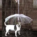 Walking Waterproof Clear Cover Built-in Leash Rain Sleet Snow Pet Umbrella for Dog. 